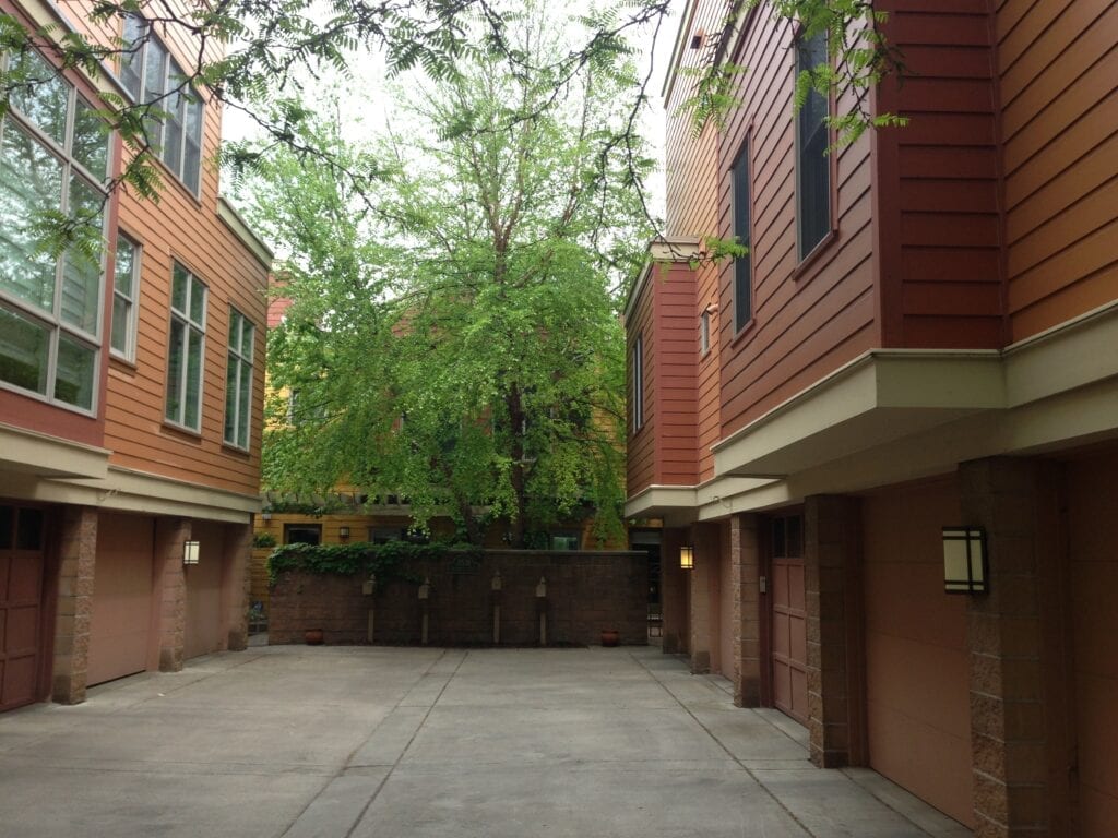 A courtyard with trees and buildings in the background.